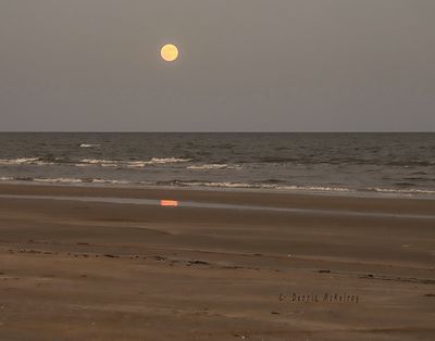 IMG_8216.jpg