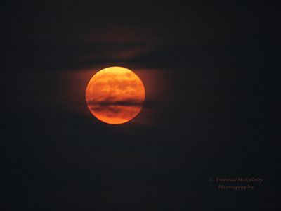 blood moon 1.jpg