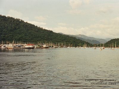 trnd_004.jpg