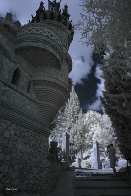 IMG_8990