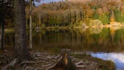 DSCF0053