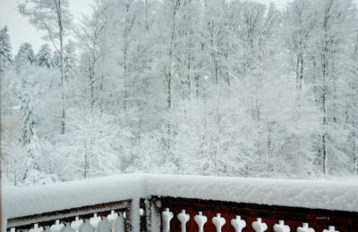 DSC_0060..jpg
