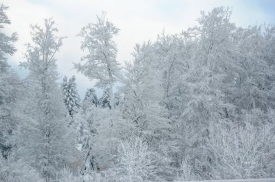 DSC_0071.jpg