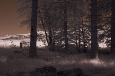 Experimentations Infrared