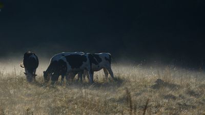 Landscapes Auvergne