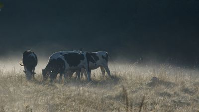 Landscapes Auvergne