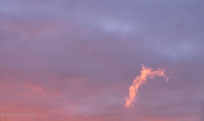 Midges and raggedy cloud