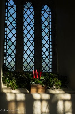 St. Mary's Church window, Honeychurch, Devon
