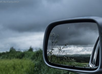 Looking back on Dartmoor