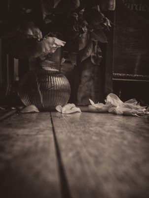 Fallen petals