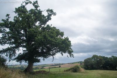 Another bit of Devon.
