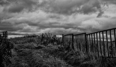 Back to this fence.