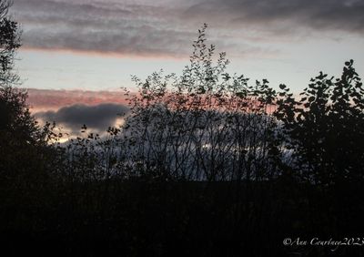 Wintery sunset