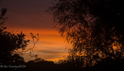 The evening of the 13th September