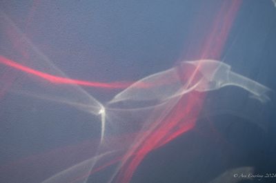 Reflections on a wall