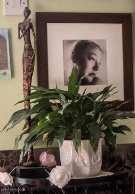 Art in my Sunroom. 