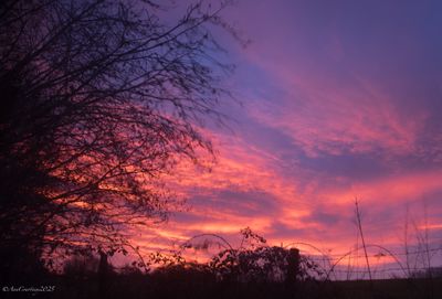 An angry looking sunrise this morning.