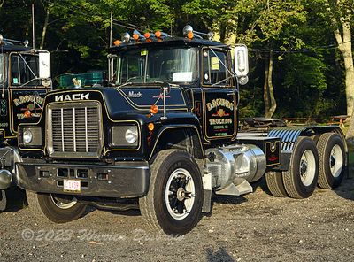 851_7617.jpg