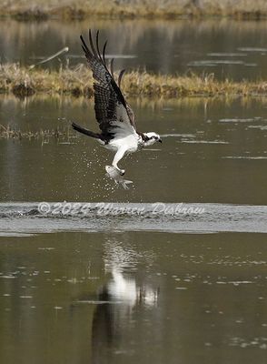 Z92_9268.jpg