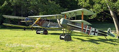851_9894.jpg