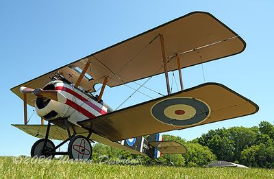 NZ9_8894.jpg