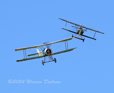 Z92_9481.jpg