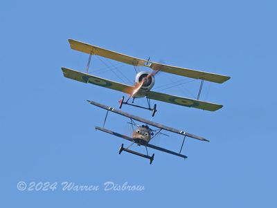 Z92_9545.jpg