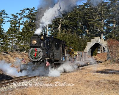 NZ9_0110.jpg