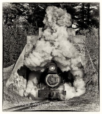 NZ9_9897bw.jpg