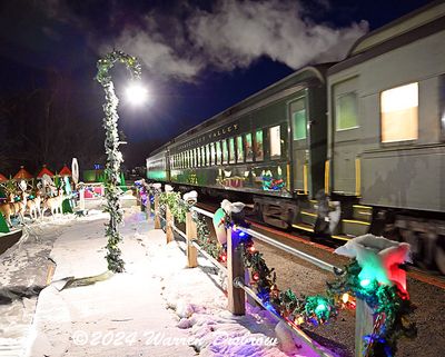 D6A_5548.jpg