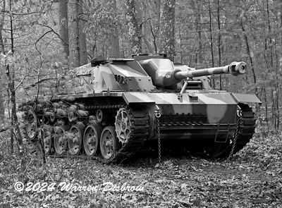 D6A_6319.jpg