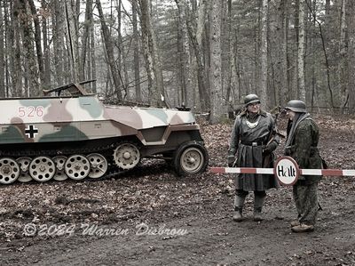 D6A_6322.jpg