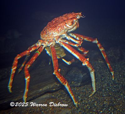 D6A_6802_01.jpg
