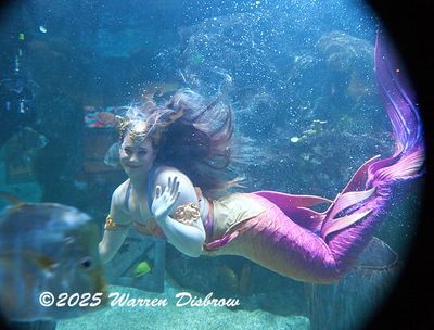 D6A_6834.jpg