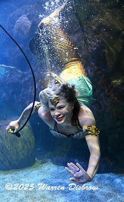 D6A_7317.jpg