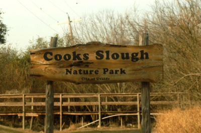 223countycook'ssloughnaturepark.JPG