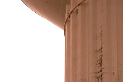 225countyperegrine1111111.JPG