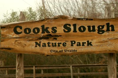 225countycook'ssloug22222222h.JPG