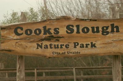 225countycook'sslough.JPG