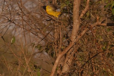 DSC_3602.JPG