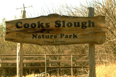 227countycccook'sslough.JPG