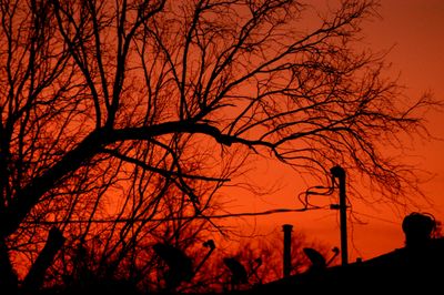 227countysunrise.JPG