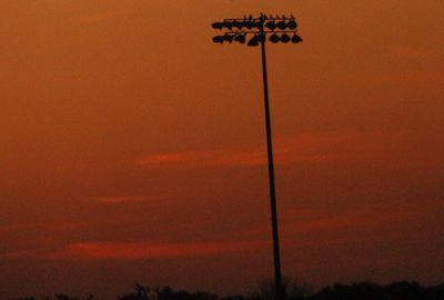 228countysun222222.JPG