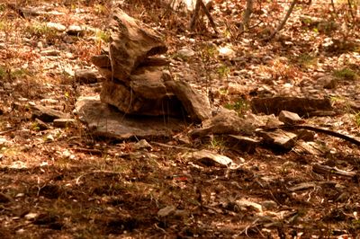 31countytrailmarkers.JPG