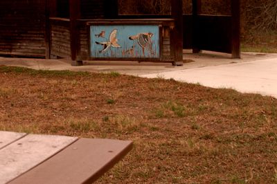 32countybirdsfishhatchery.JPG