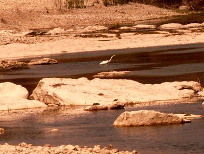 32countygreategret.JPG