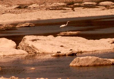 32countygreategret2222222222222.JPG