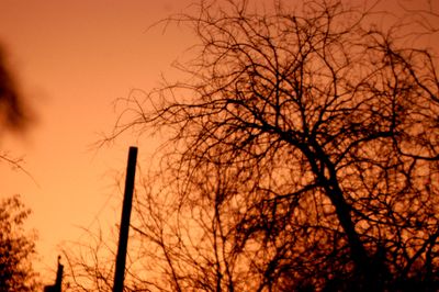 33country.morningsun.JPG