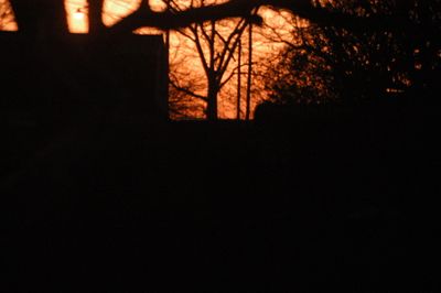 DSC_4021.JPG