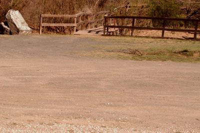 34county.cook'sslough2222222.JPG
